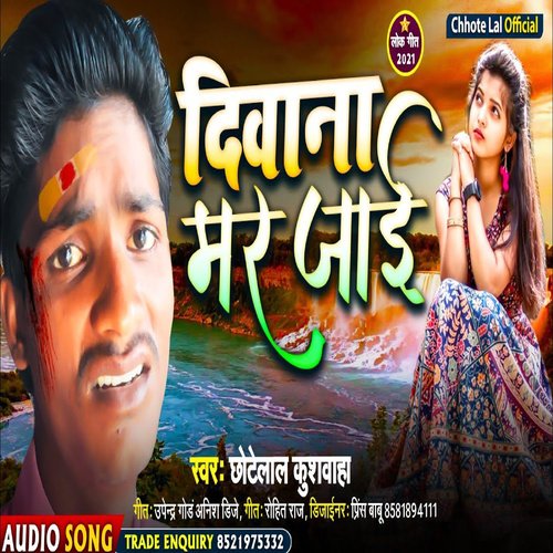 Deewana Mar Jai Re cover image