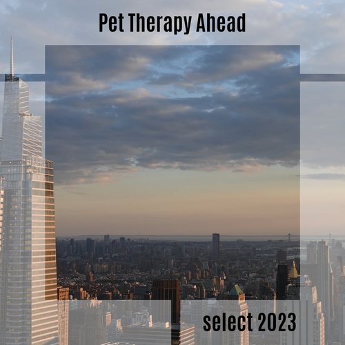 Manu Militari (Pitch+4) cover image