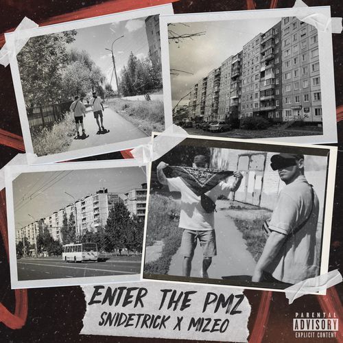 PMZ cover image