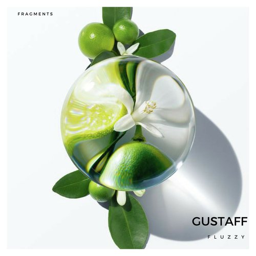 Fluzzy (Peter Lavalle Remix) cover image