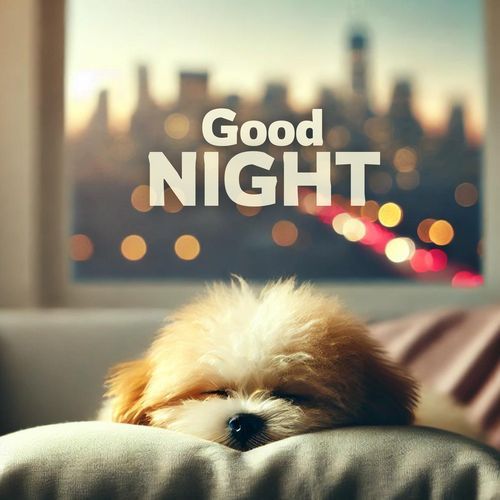 Lovely Nap cover image