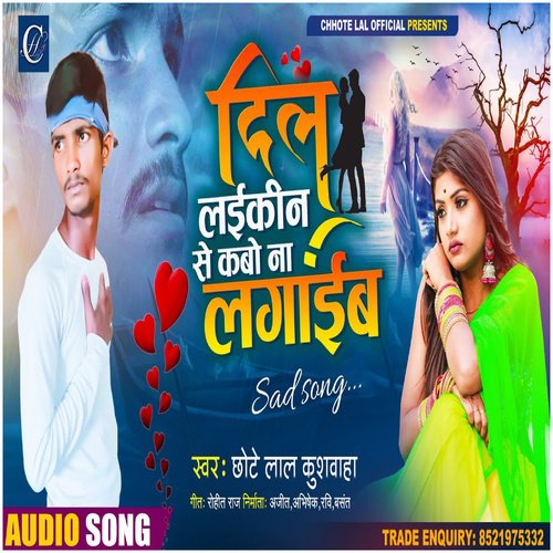 Dil Laikeen Se Kabo Na Lagaib cover image