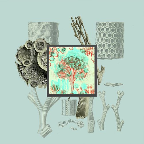 Collective cover image