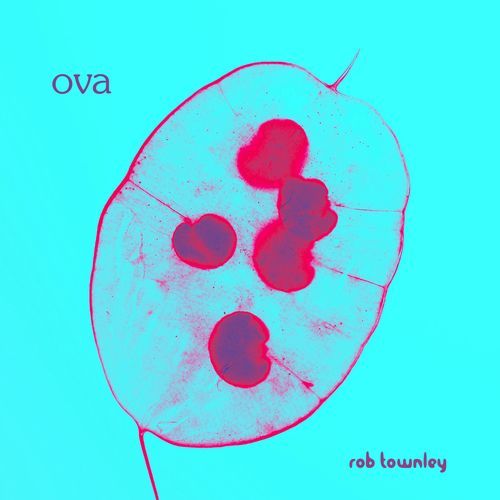 Ova cover image
