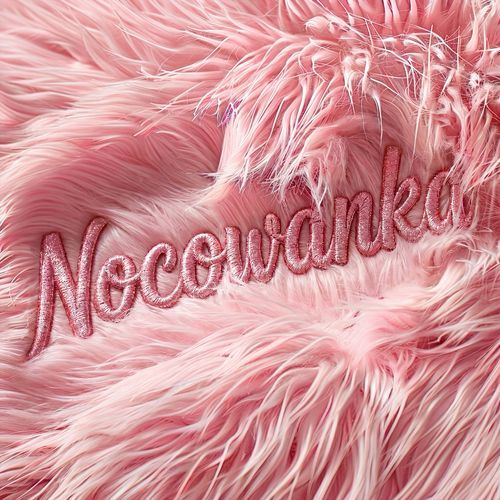 Nocowanka cover image