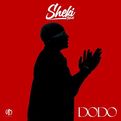 Dodo cover image