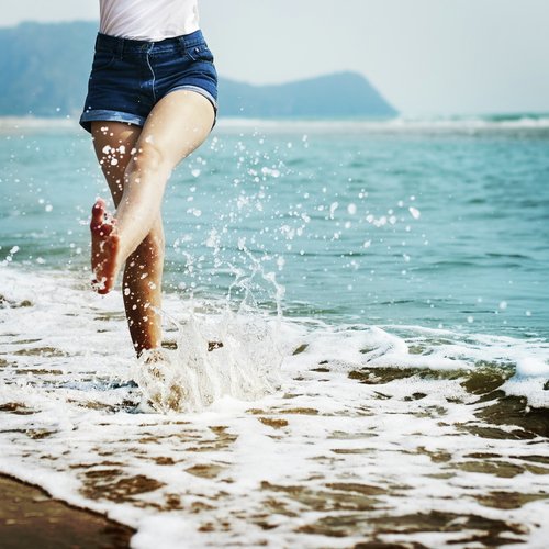 Sandy Shore cover image