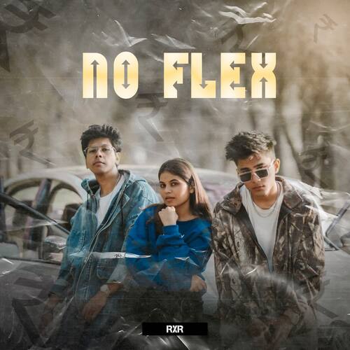 NO FLEX cover image