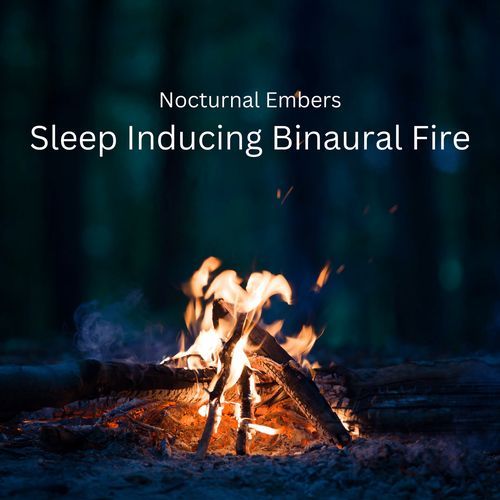Binaural Fire in the Valley Sleep cover image