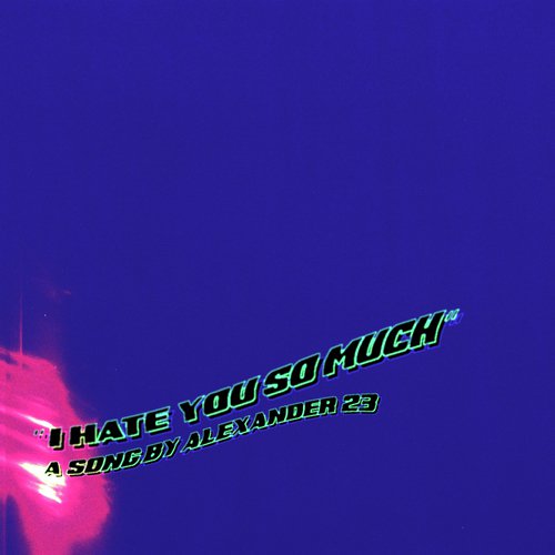 I Hate You So Much cover image