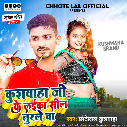 Kushwaha Ji Ke Laika Seel Turle Ba cover image