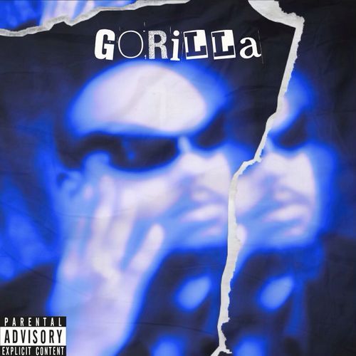 Go Rilla cover image
