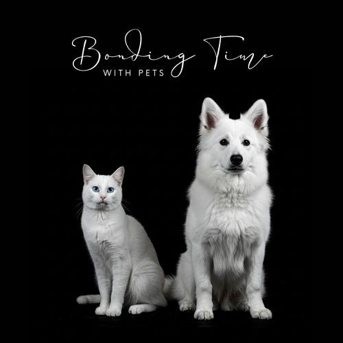Dog Bedtime cover image