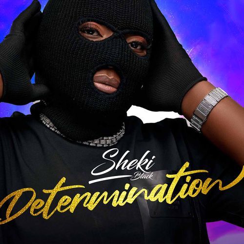Determination 2 cover image