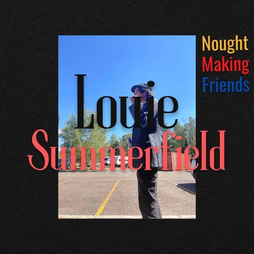 Summerfield Murders cover image
