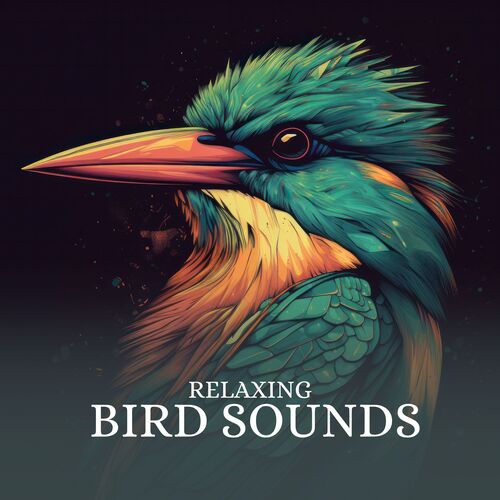 Finch cover image