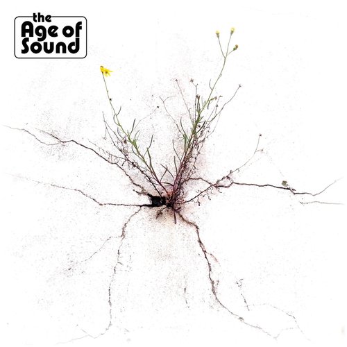 Doris cover image