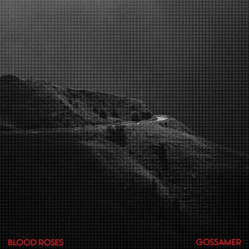 Gossamer cover image