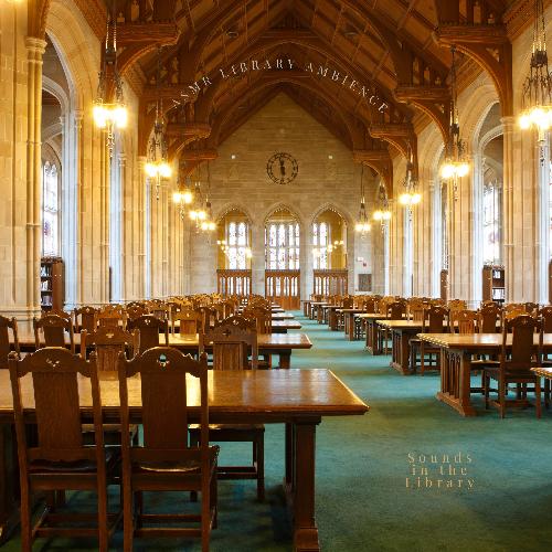 Lovely Library Meetings cover image