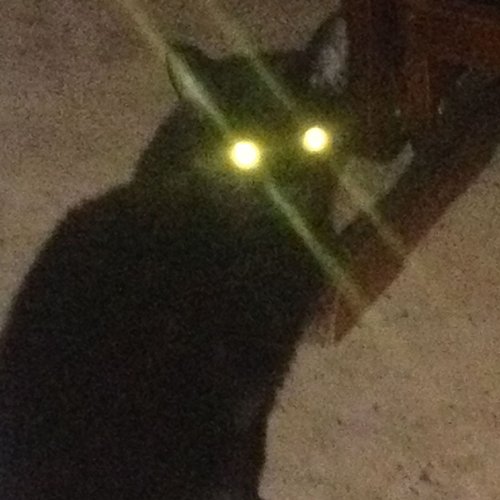 SALEM cover image