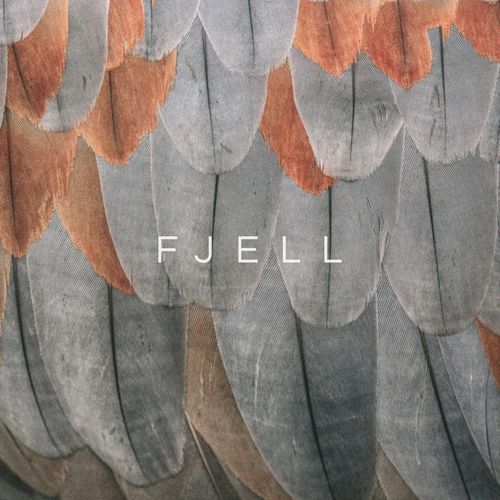 Fjell cover image
