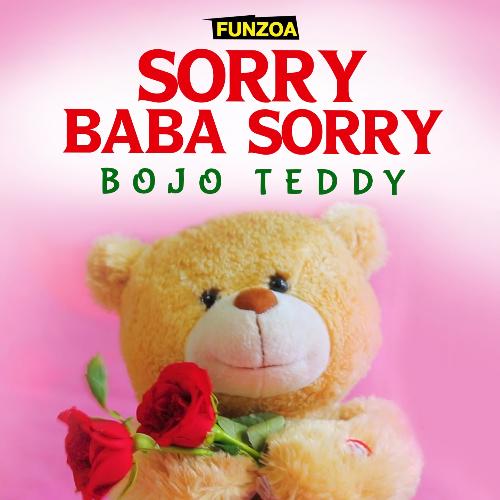 Sorry Baba Sorry (Male Version) cover image