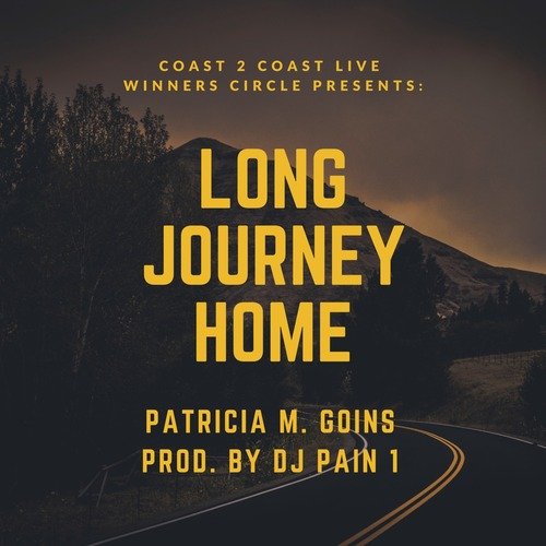 Long Journey Home cover image