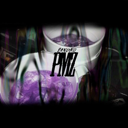 PMZ cover image